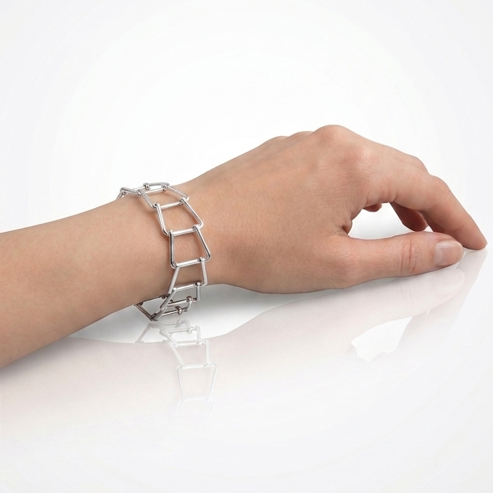 Module Bracelet